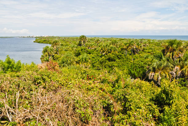 View of Island, River, and Ocean stock photo