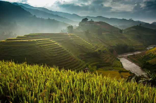 Mù Cang Chải Rice Terrace has been recognized as one of the unique landscapes of Vietnam. The Hmong people developed a way to retain water by making the levelling the land on the m