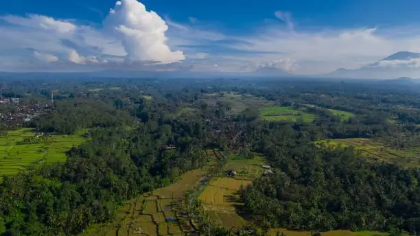 Drone shot of Balinese rice fields, mountains and forest in a sunny day, Ubud, Indonesia