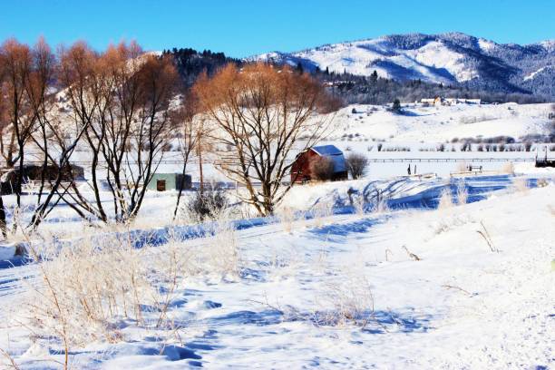 istock Snowy Wyoming Cabin 1085021102