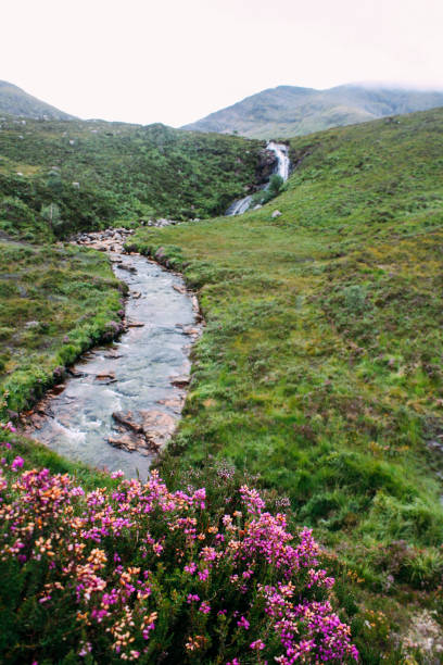 istock Cuillin Mountains - Isle of Skye - Scotland 1085021358
