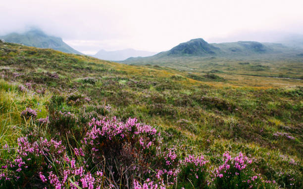 istock Cuillin Mountains - Isle of Skye - Scotland 1085021360