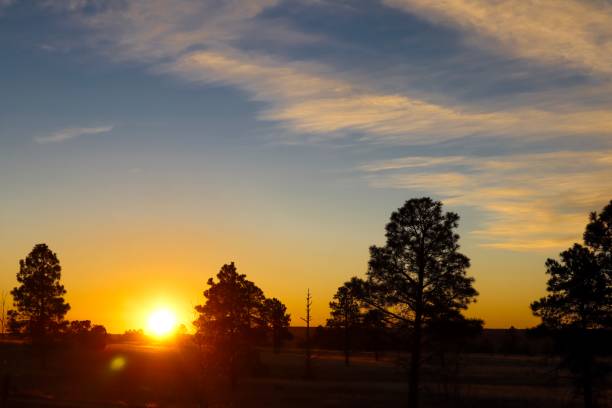 istock Early morning sunrise in the forest 1085022238