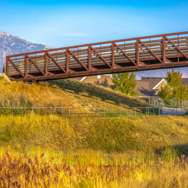 istock Winding path and bridge on a sunlit grassy slope 1085024512