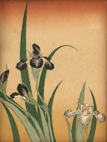 Vintage engraving of Art of Japan, Orchid flowers