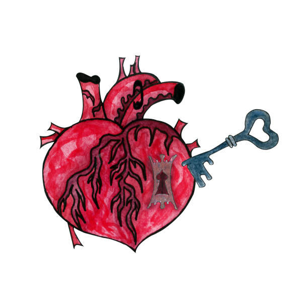 Unusual natural watercolor illustration of a heart with keyhole and key. Watercolor human heart with key. Unusual natural watercolor illustration of a heart with keyhole and key. skeleton key tattoo stock illustrations