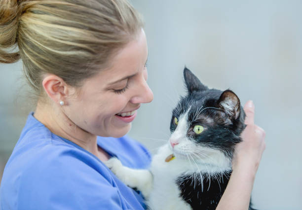 istock Female vet holding a cat 1085030166