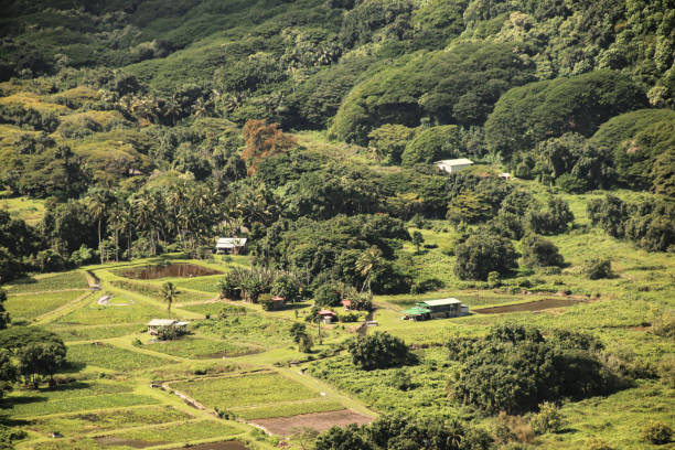 istock Waipio Valley Big Island Hawaii 1085031372