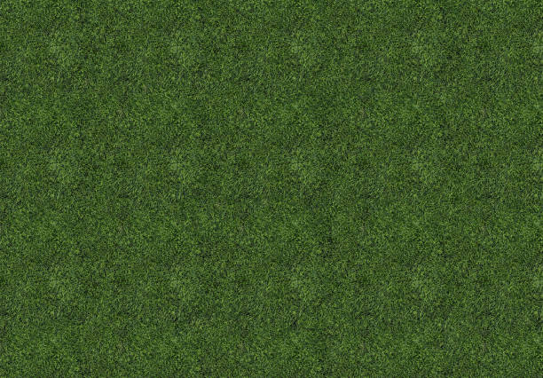 istock Soccer field. Green texture, synthetic grass. Top view. 1085032246
