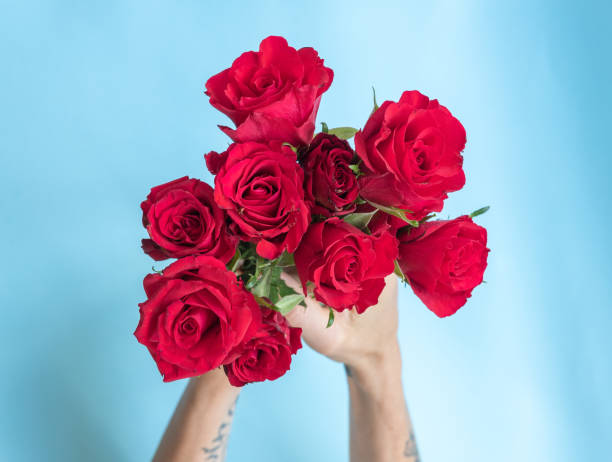 istock Hands arranging red roses on blue background from above 1085038912