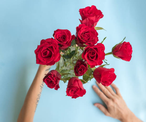 istock Red roses in vase with hands against blue background from above 1085043266