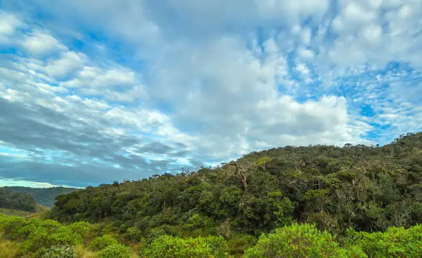 Photo of World’s End in Horton Plains in Sri Lanka - popular tourist destination.