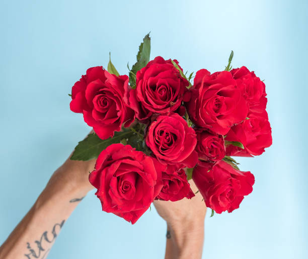 istock Red roses with hands against blue background from above 1085048344