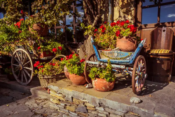 A cart with colorful flowers around the city.