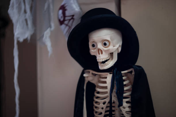 istock Skeleton with hat on head and cloak. Halloween decoration. 1085050944