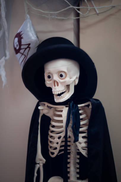 istock Skeleton with hat on head and cloak. Halloween decoration. 1085050956