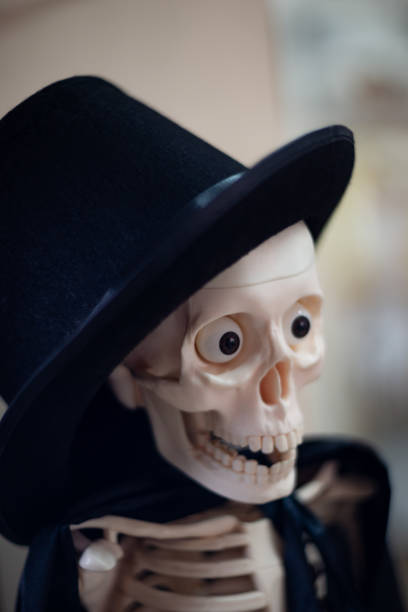 istock Skeleton with hat on head and cloak. Close-up view. Halloween decoration and blurred background. 1085050962