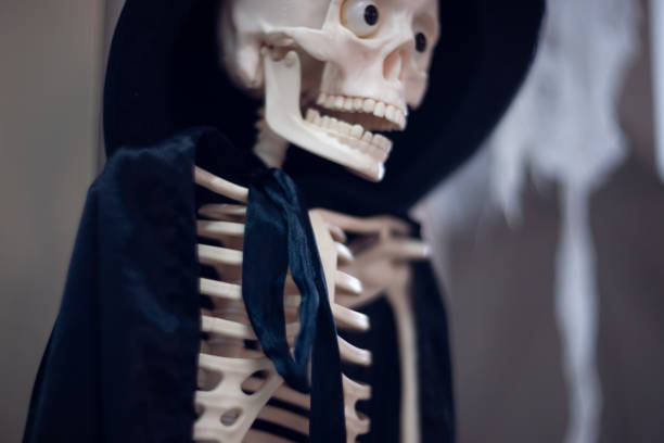 istock Skeleton with hat on head and cloak. Halloween decoration. 1085050988