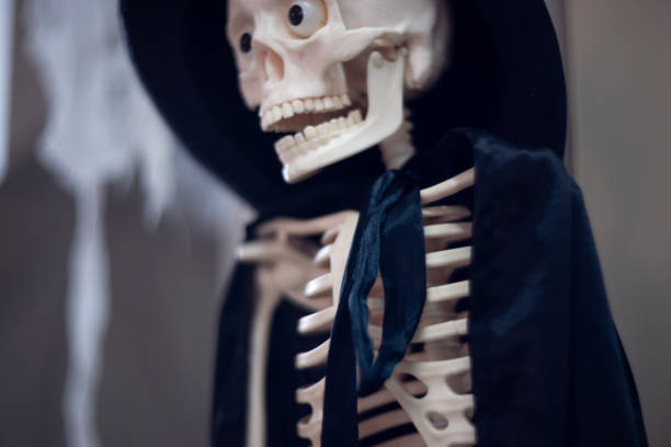 istock Skeleton with hat on head and cloak. Halloween decoration. 1085050990