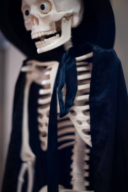 istock Skeleton with hat on head and cloak. Halloween decoration. 1085050996