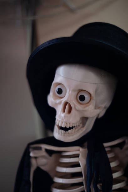 istock Skeleton with hat on head and cloak. Halloween decoration. Close-up view with blurred background. 1085051034