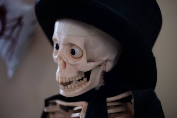 istock Skeleton with hat on head and cloak. Halloween decoration. Close-up view with blurred background. 1085051042