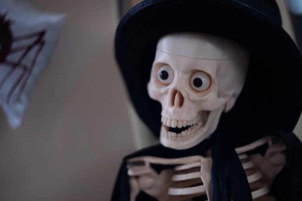 istock Skeleton with hat on head and cloak. Halloween decoration. Close-up view with blurred background. 1085051048