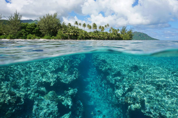 istock Landscape over and underwater island shore reef 1085052178