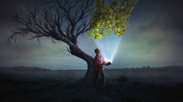 Light and tree leaves A man holds open a glowing book, that leads to life on a dead tree. holy book stock pictures, royalty-free photos & images