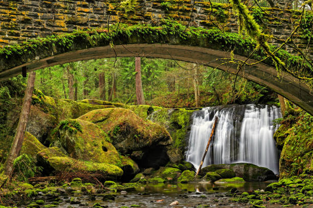 istock Whatcom Falls as seen from under the bridge in Bellingham, Washington State 1085055096