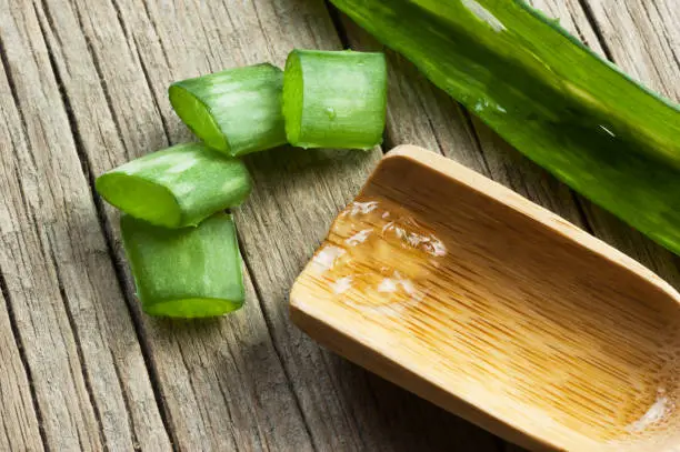 Aloe Vera plant and gel close up. Sliced Aloevera leaf and gel with wooden spoon , natural organic cosmetic ingredients for sensitive skin, alternative medicine. Organic Skin care concept.