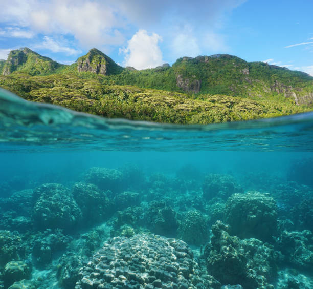 istock Lush coast and coral reef split French Polynesia 1085060768