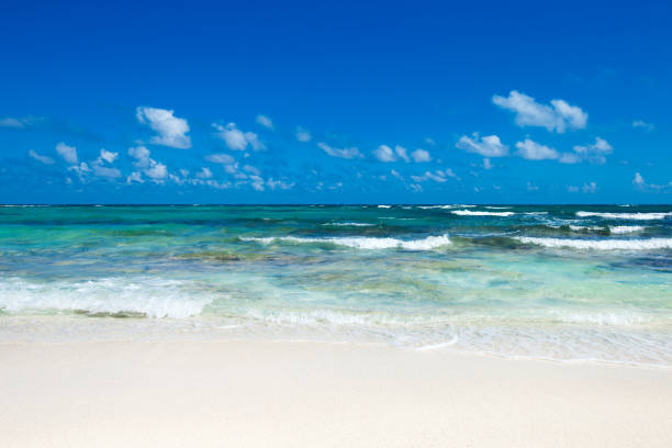 istock beach and tropical sea 1085061390