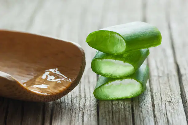 Aloe Vera plant and gel close up. Sliced Aloevera leaf and gel with wooden spoon , natural organic cosmetic ingredients for sensitive skin, alternative medicine. Organic Skin care concept.
