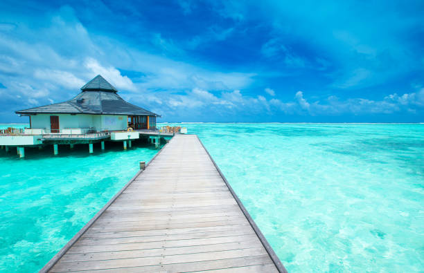 istock tropical beach in Maldives with few palm trees and blue lagoon 1085067430