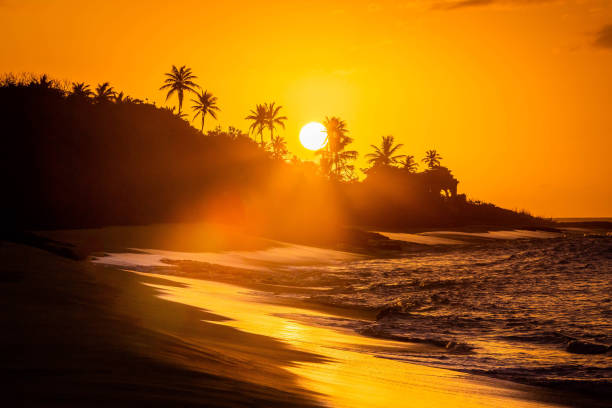 pôr do sol tropical na praia com palmeiras - haiti - fotografias e filmes do acervo