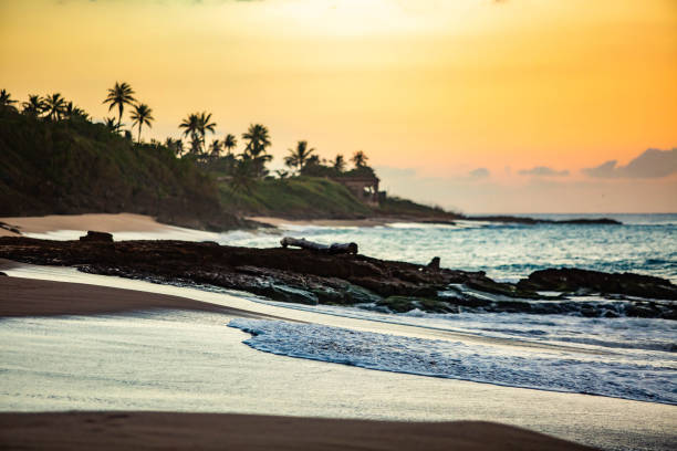 istock Tropical sunset at the beach with palms 1085069946