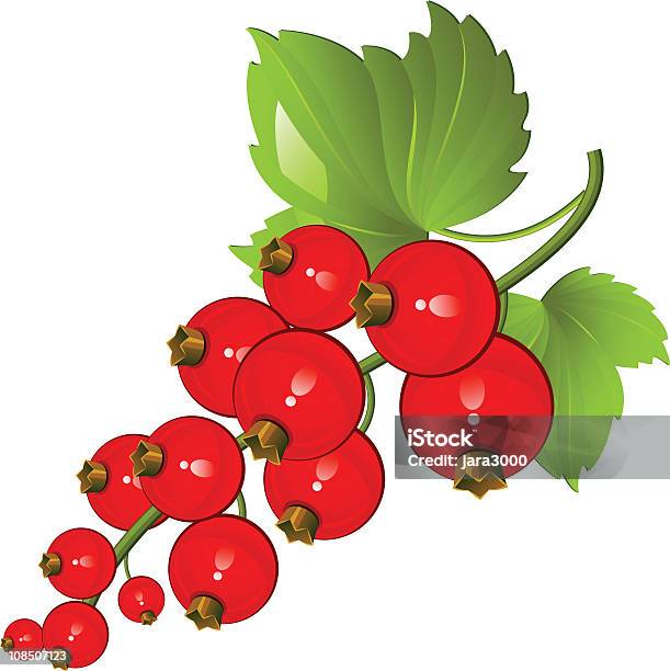 Ribes Rosso - Immagini vettoriali stock e altre immagini di Agricoltura - Agricoltura, Alimentazione sana, Cibo