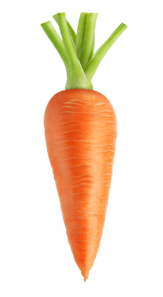 istock Isolated carrot. Whole carrot isolated on white background, with clipping path 1085071494
