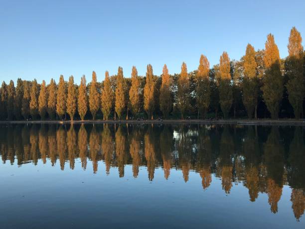 sceaux парк в иль-де-франс - ile de france фотографии стоковые фото и изображения