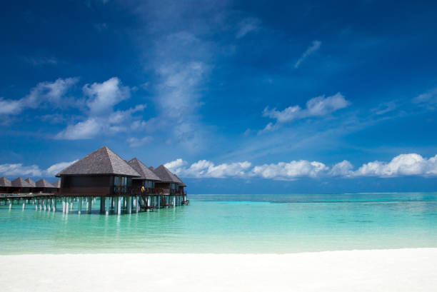 istock tropical Maldives island with white sandy beach and sea 1085071610
