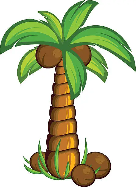 Vector illustration of Palm tree