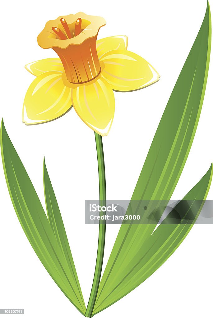Papyraceus flor - Vetor de Amarelo royalty-free