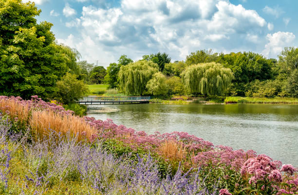 paisaje de verano del jardín botánico de chicago, glencoe, illinois, usa - jardín botánico fotografías e imágenes de stock