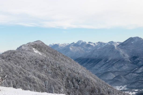 istock Winter landscape with fresh snow 1085072046