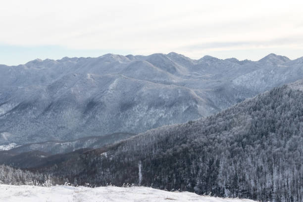 istock Winter landscape with fresh snow 1085072096