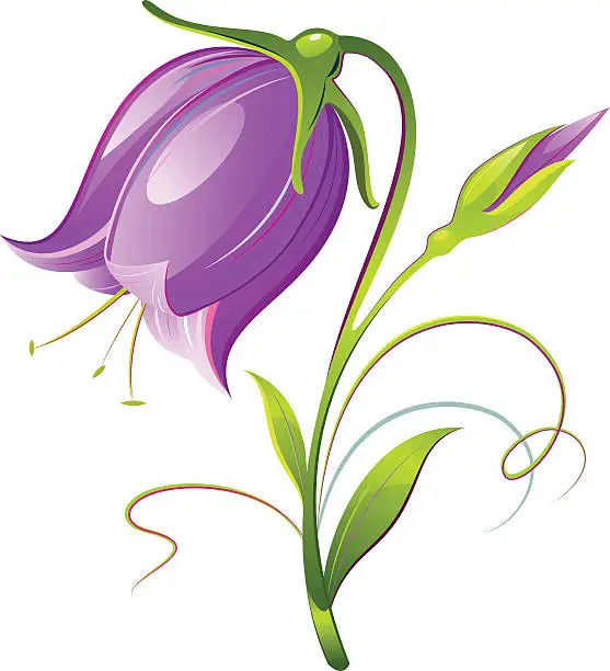 Vector illustration of Bell-flower