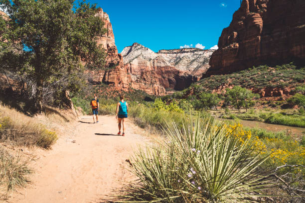 istock A little walk through Zion National Park 1085073976