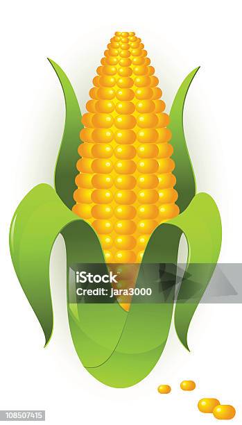 Maïs Vecteurs libres de droits et plus d'images vectorielles de Agriculture - Agriculture, Aliment, Aliment cru