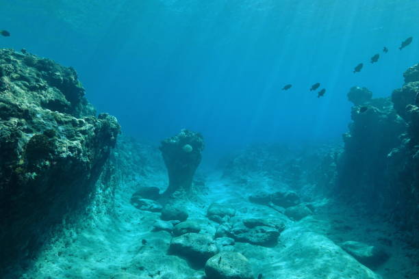 istock Ocean floor reef sculpted by swell Pacific ocean 1085074436